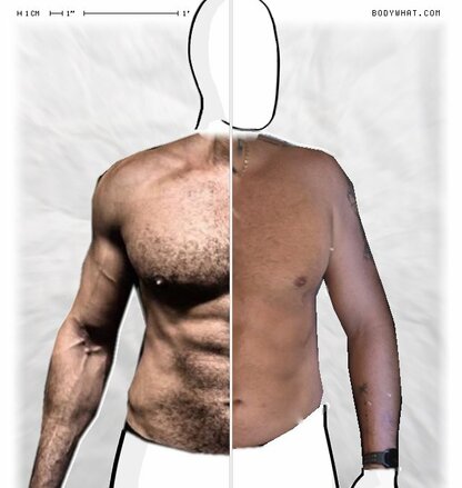 Torso Comparison