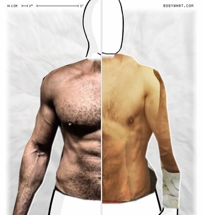 Torso Comparison