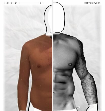 Torso Comparison