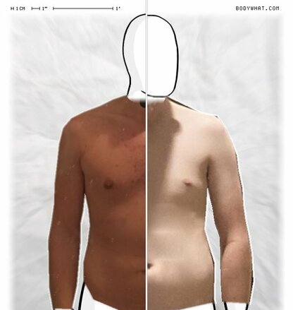 Torso Comparison