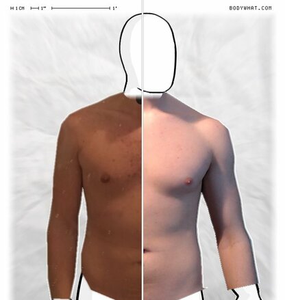 Torso Comparison