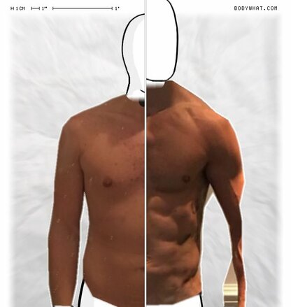 Torso Comparison
