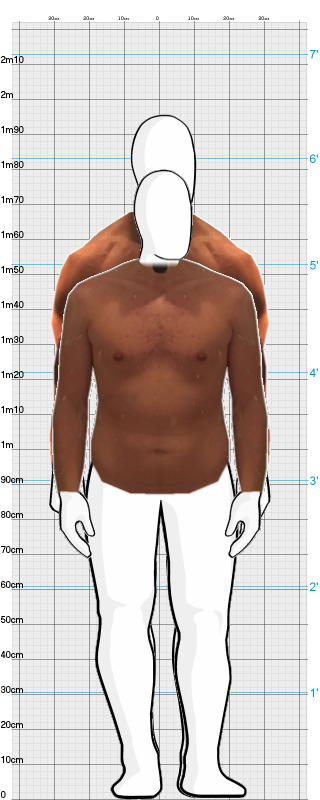 Full Size Comparison