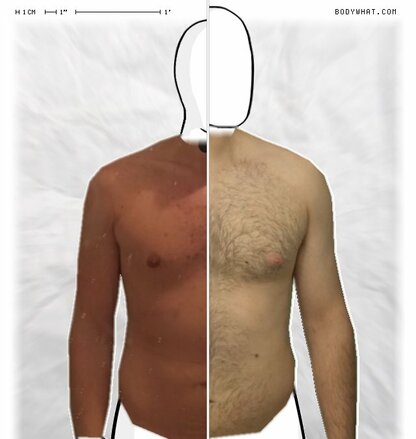 Torso Comparison