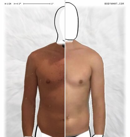 Torso Comparison