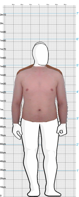 Full Size Comparison