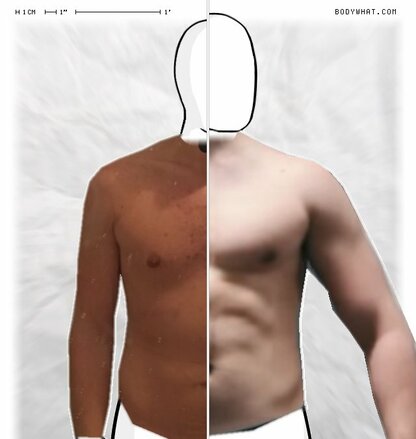 Torso Comparison