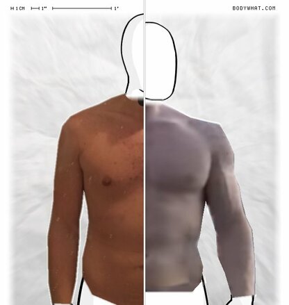 Torso Comparison