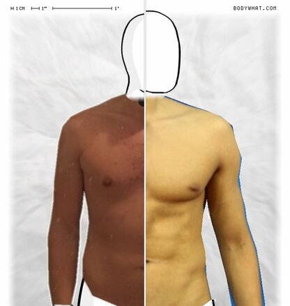 Torso Comparison