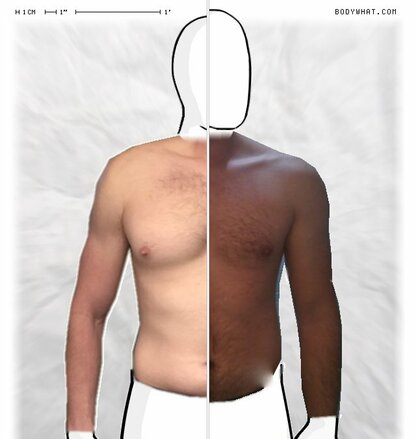 Torso Comparison