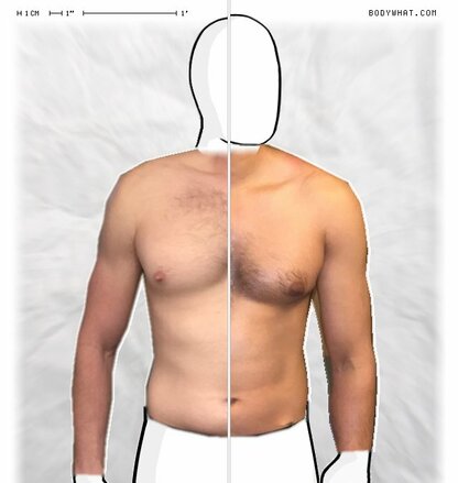 Torso Comparison