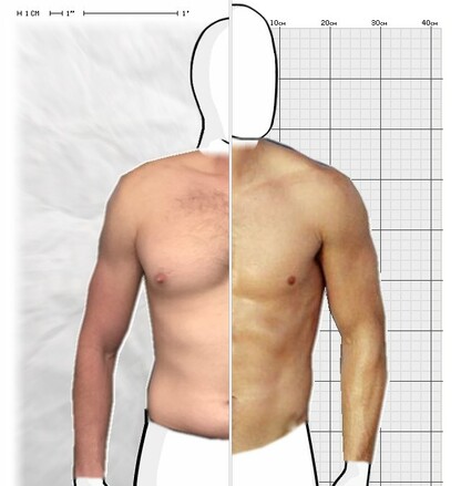 Torso Comparison