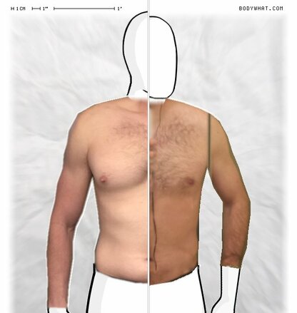 Torso Comparison