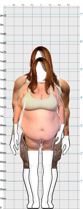 Full Size Comparison