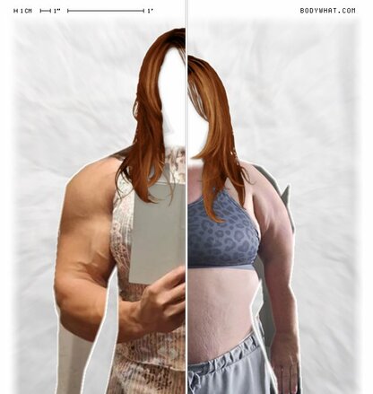 Torso Comparison