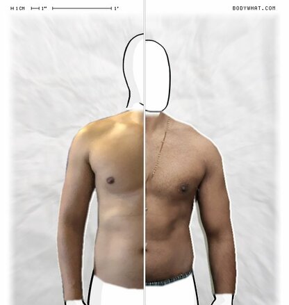 Torso Comparison