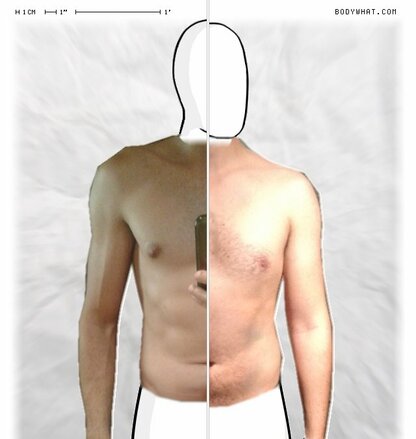 Torso Comparison