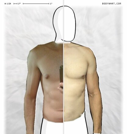 Torso Comparison