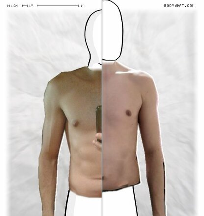 Torso Comparison