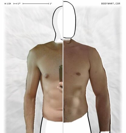 Torso Comparison