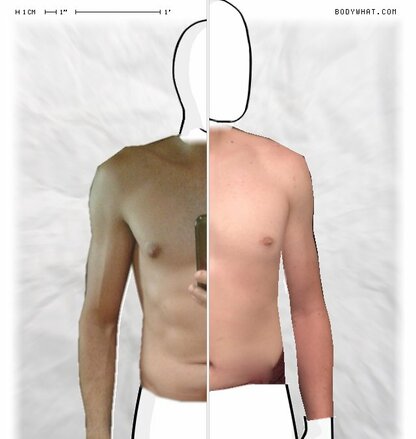 Torso Comparison