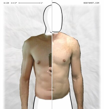 Torso Comparison