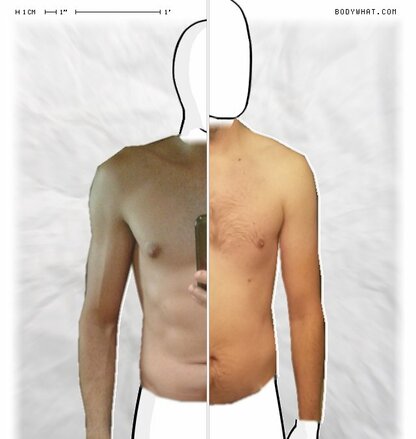 Torso Comparison