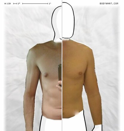 Torso Comparison