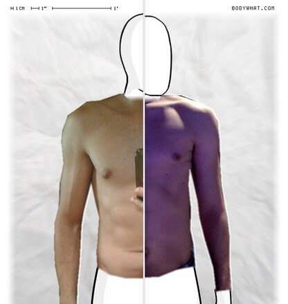 Torso Comparison