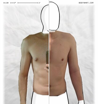 Torso Comparison