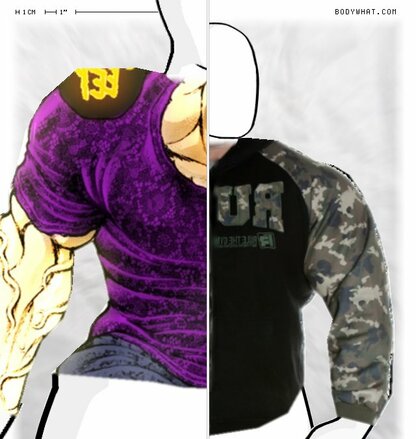 Torso Comparison