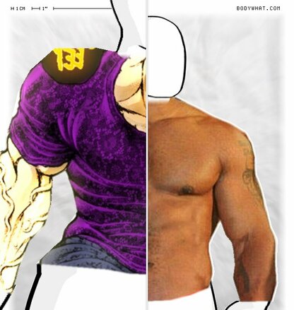 Torso Comparison