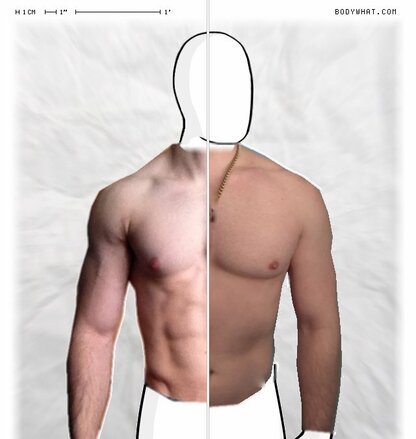 Torso Comparison