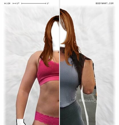 Torso Comparison