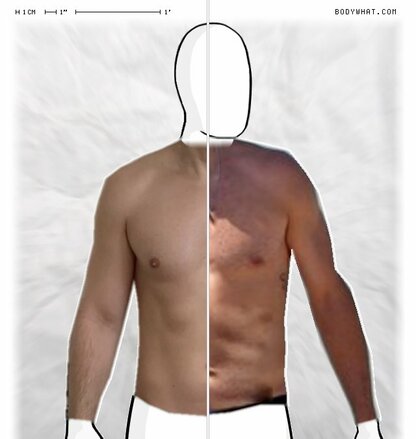 Torso Comparison