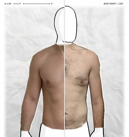 Torso Comparison