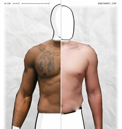 Torso Comparison