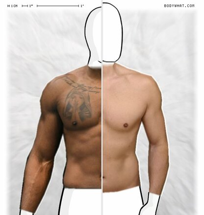 Torso Comparison