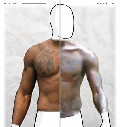 Torso Comparison