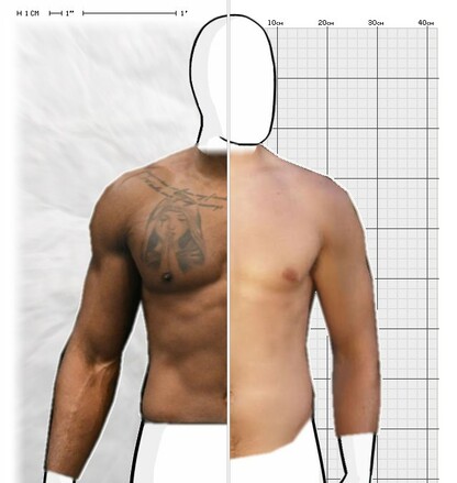 Torso Comparison