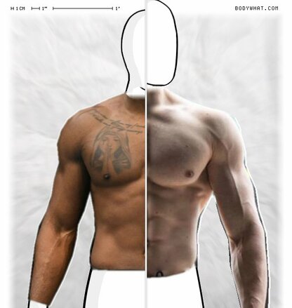 Torso Comparison