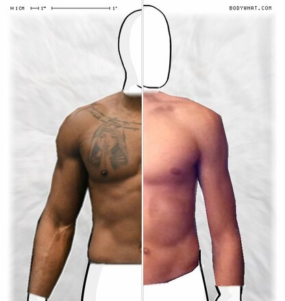 Torso Comparison