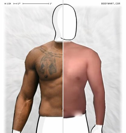 Torso Comparison