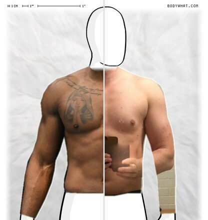 Torso Comparison