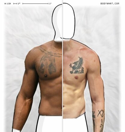 Torso Comparison