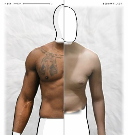 Torso Comparison