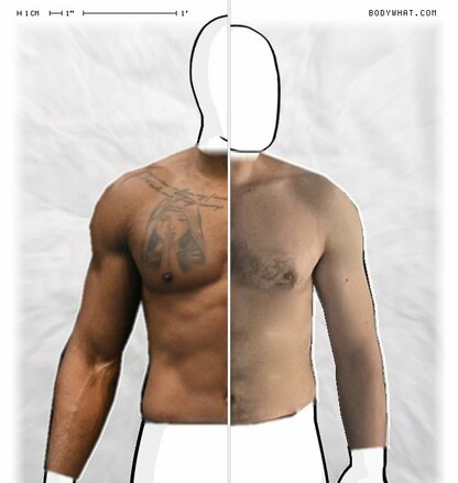 Torso Comparison