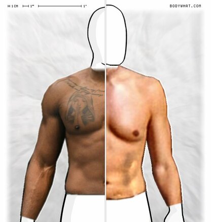 Torso Comparison