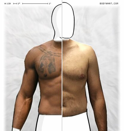 Torso Comparison