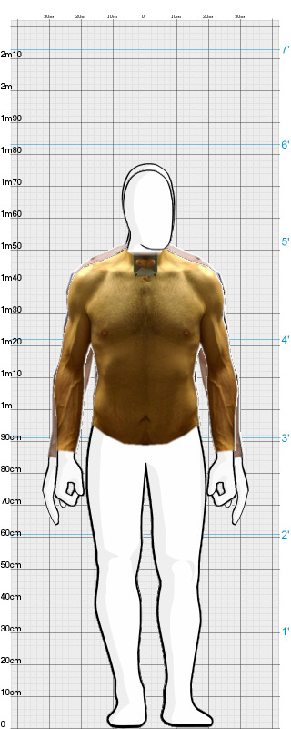 Full Size Comparison
